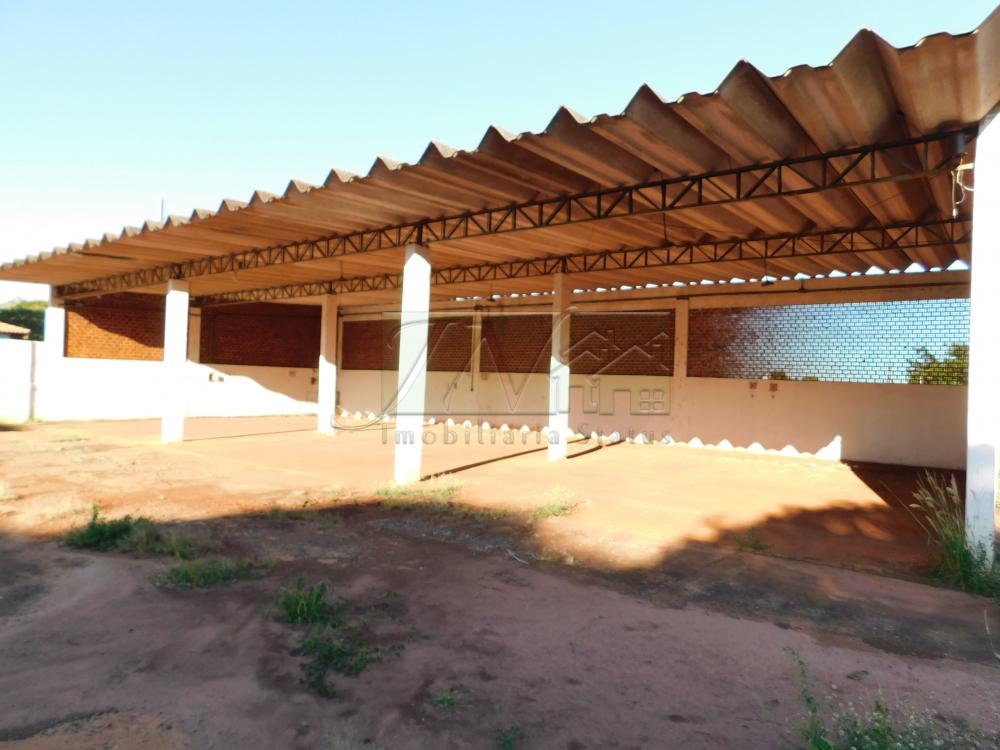 Alugar Comerciais / Galpão em Santa Cruz do Rio Pardo R$ 6.500,00 - Foto 20