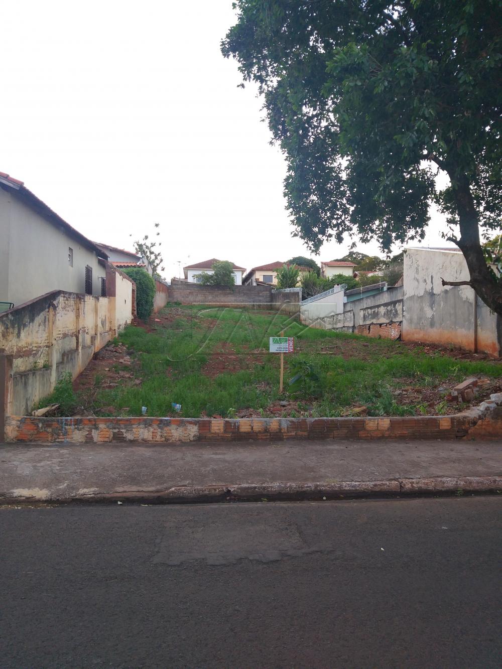 Comprar Terrenos / Lote em Santa Cruz do Rio Pardo R$ 350.000,00 - Foto 2