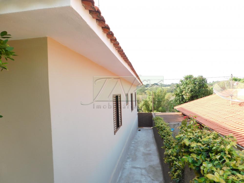 Alugar Residenciais / Casas em Santa Cruz do Rio Pardo R$ 900,00 - Foto 16