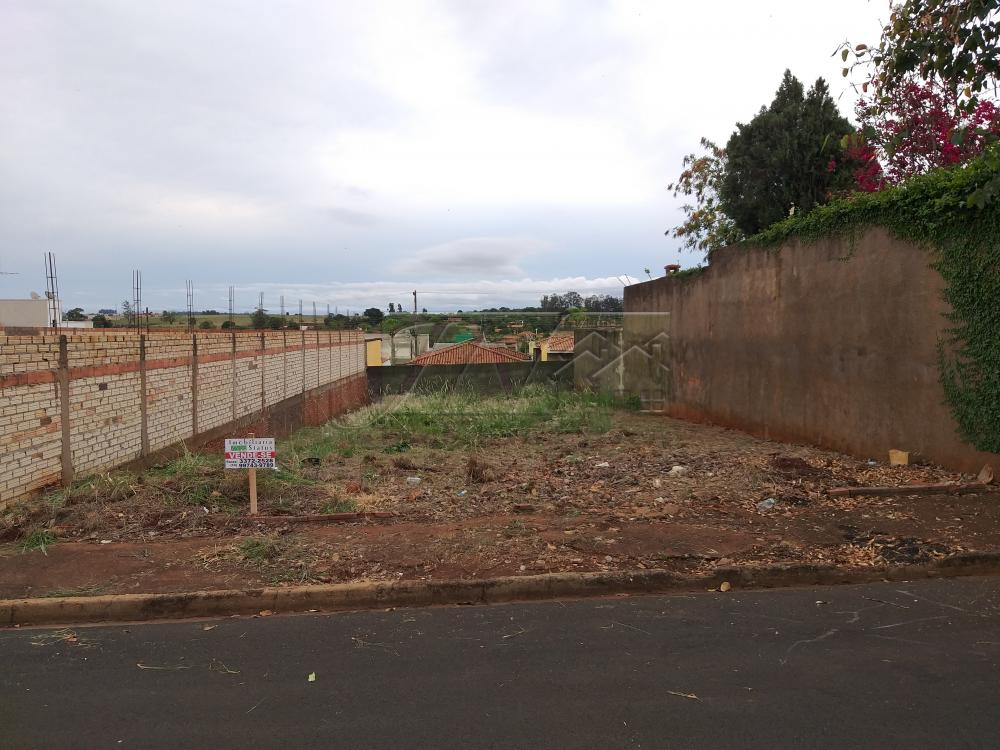 Comprar Terrenos / Lote em Santa Cruz do Rio Pardo R$ 150.000,00 - Foto 2