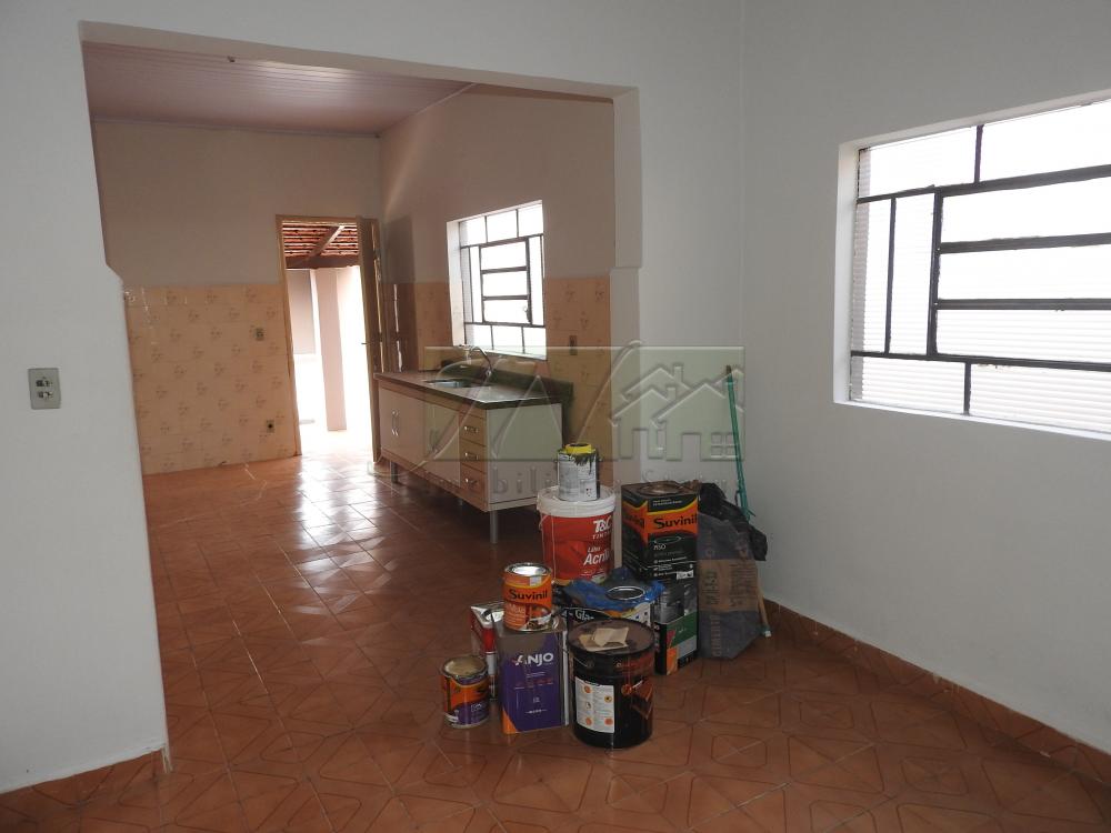 Alugar Residenciais / Casas em Santa Cruz do Rio Pardo R$ 1.000,00 - Foto 7