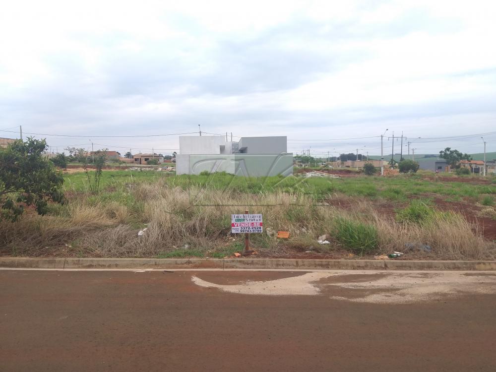 Comprar Terrenos / Lote em Santa Cruz do Rio Pardo R$ 40.000,00 - Foto 1