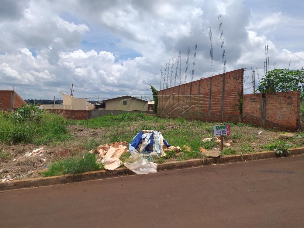 Comprar Terrenos / Lote em Santa Cruz do Rio Pardo R$ 110.000,00 - Foto 3