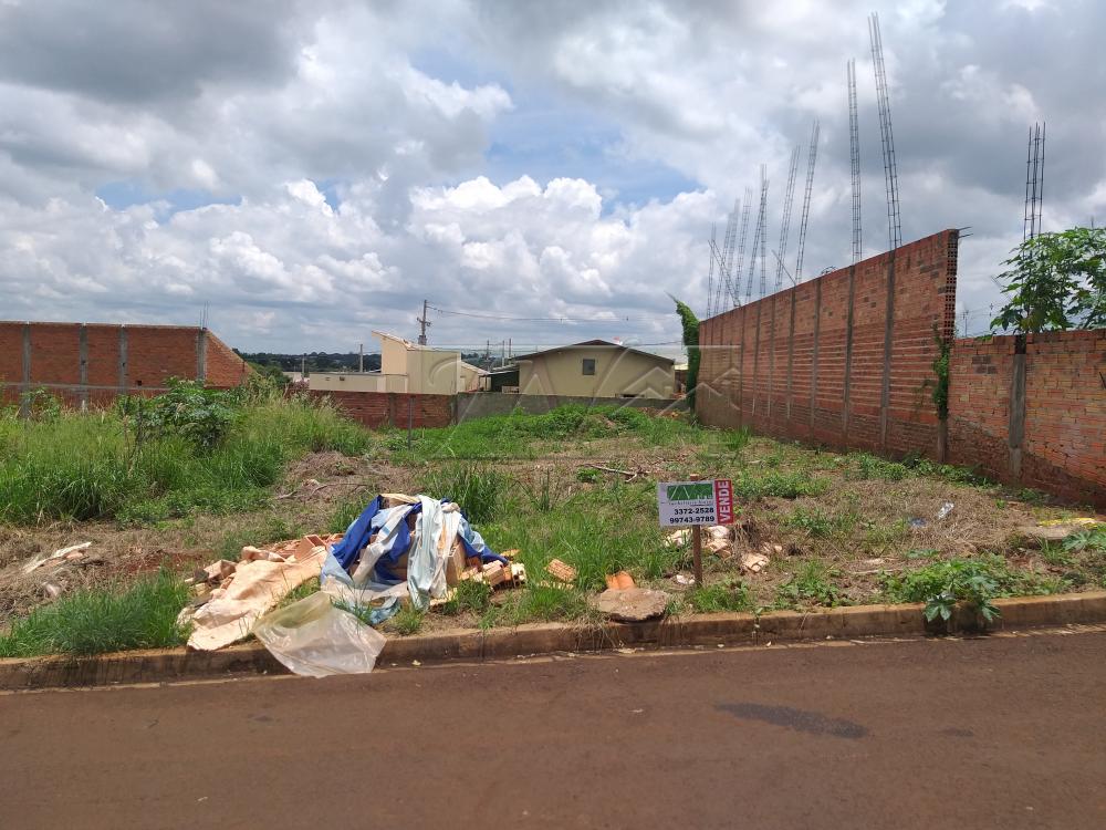 Comprar Terrenos / Lote em Santa Cruz do Rio Pardo R$ 110.000,00 - Foto 4