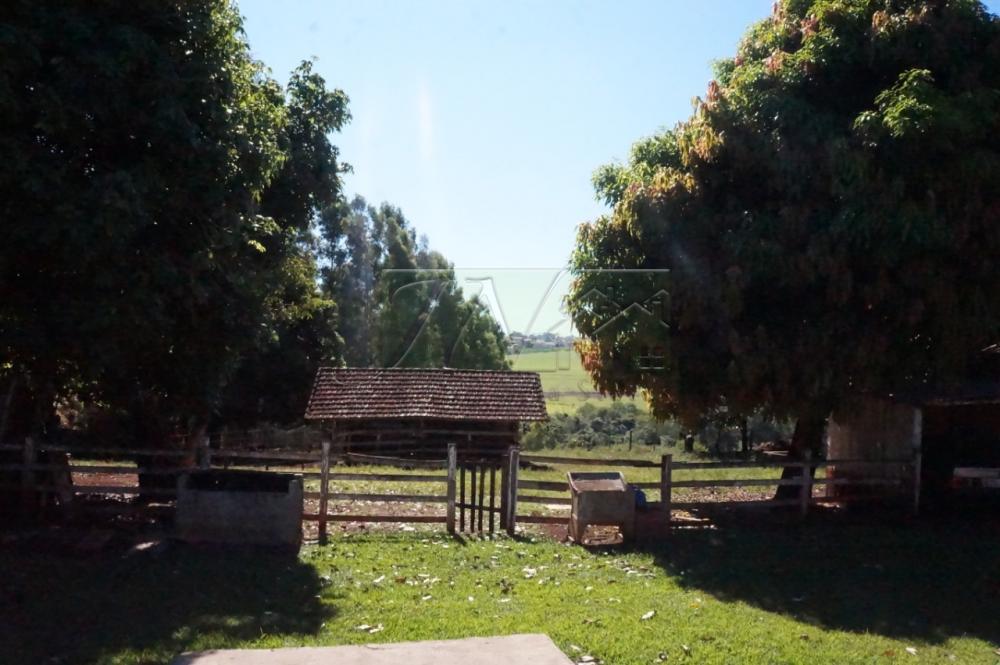 Comprar Rurais / Chácara em Santa Cruz do Rio Pardo R$ 1.200.000,00 - Foto 11