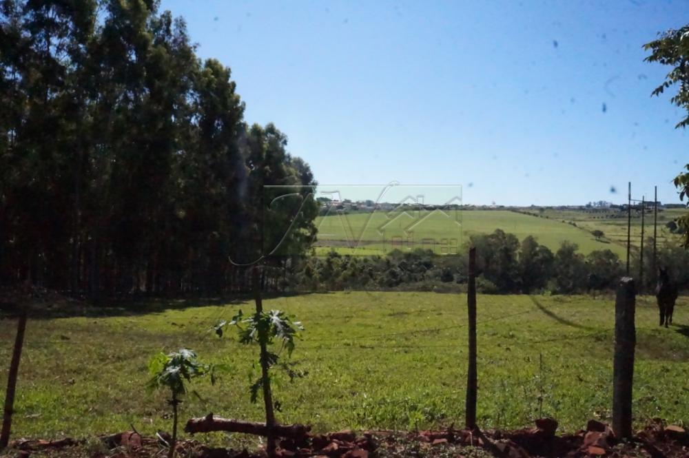 Comprar Rurais / Chácara em Santa Cruz do Rio Pardo R$ 1.200.000,00 - Foto 13