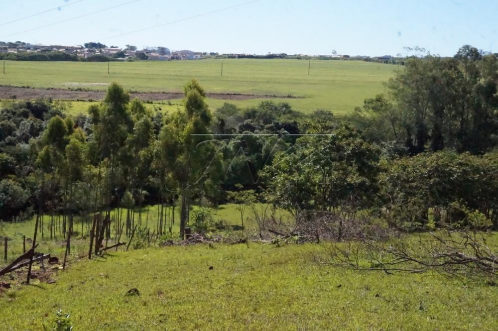 Comprar Rurais / Chácara em Santa Cruz do Rio Pardo R$ 1.200.000,00 - Foto 15