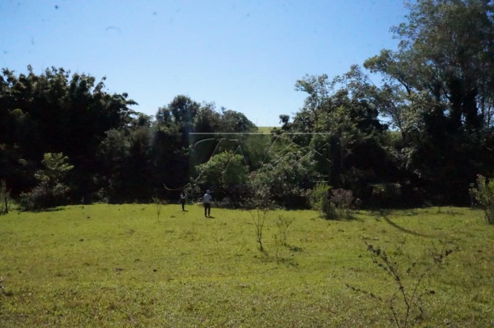 Comprar Rurais / Chácara em Santa Cruz do Rio Pardo R$ 1.200.000,00 - Foto 16