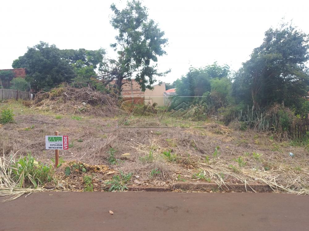 Comprar Terrenos / Lote em Santa Cruz do Rio Pardo R$ 55.000,00 - Foto 1