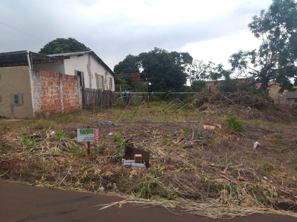 Comprar Terrenos / Lote em Santa Cruz do Rio Pardo R$ 55.000,00 - Foto 1