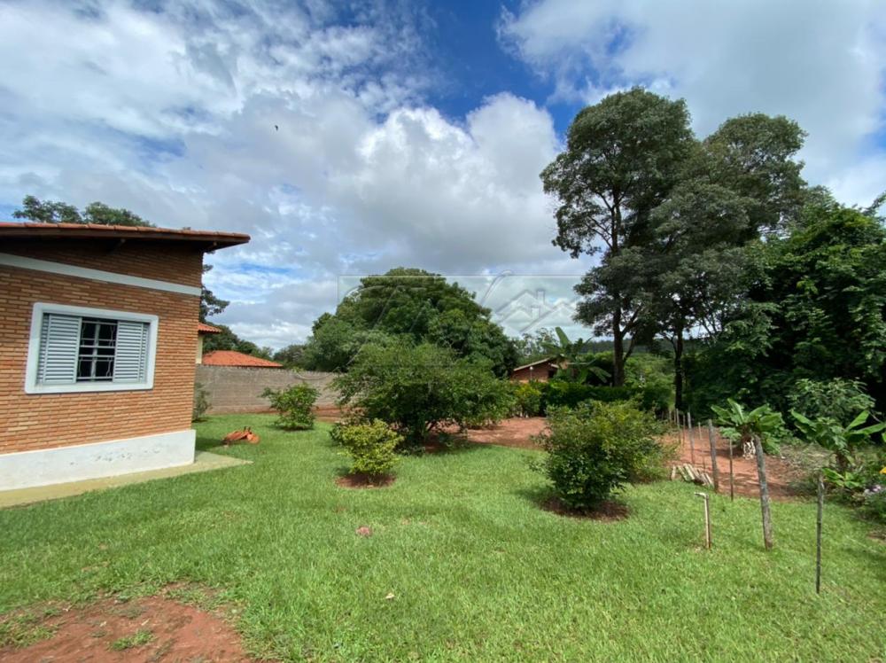 Comprar Terrenos / Lote em Águas de Santa Bárbara R$ 330.000,00 - Foto 15