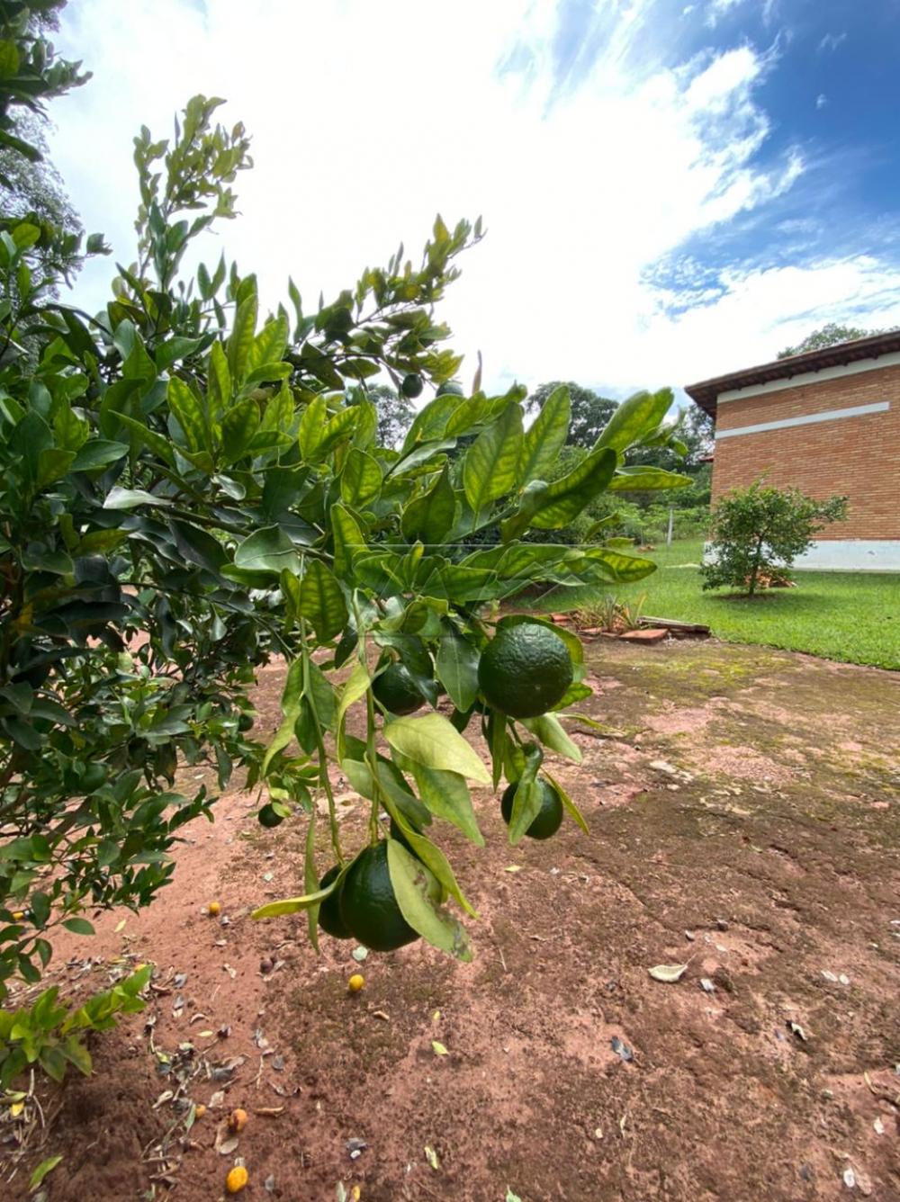 Comprar Terrenos / Lote em Águas de Santa Bárbara R$ 330.000,00 - Foto 26