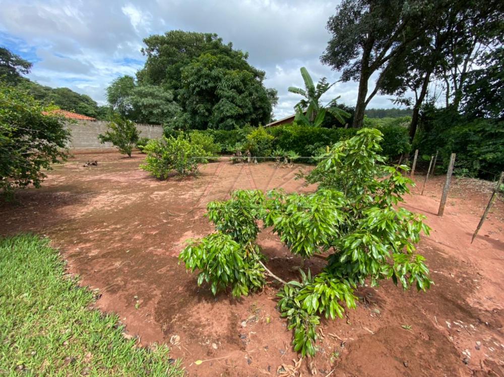 Comprar Terrenos / Lote em Águas de Santa Bárbara R$ 330.000,00 - Foto 27