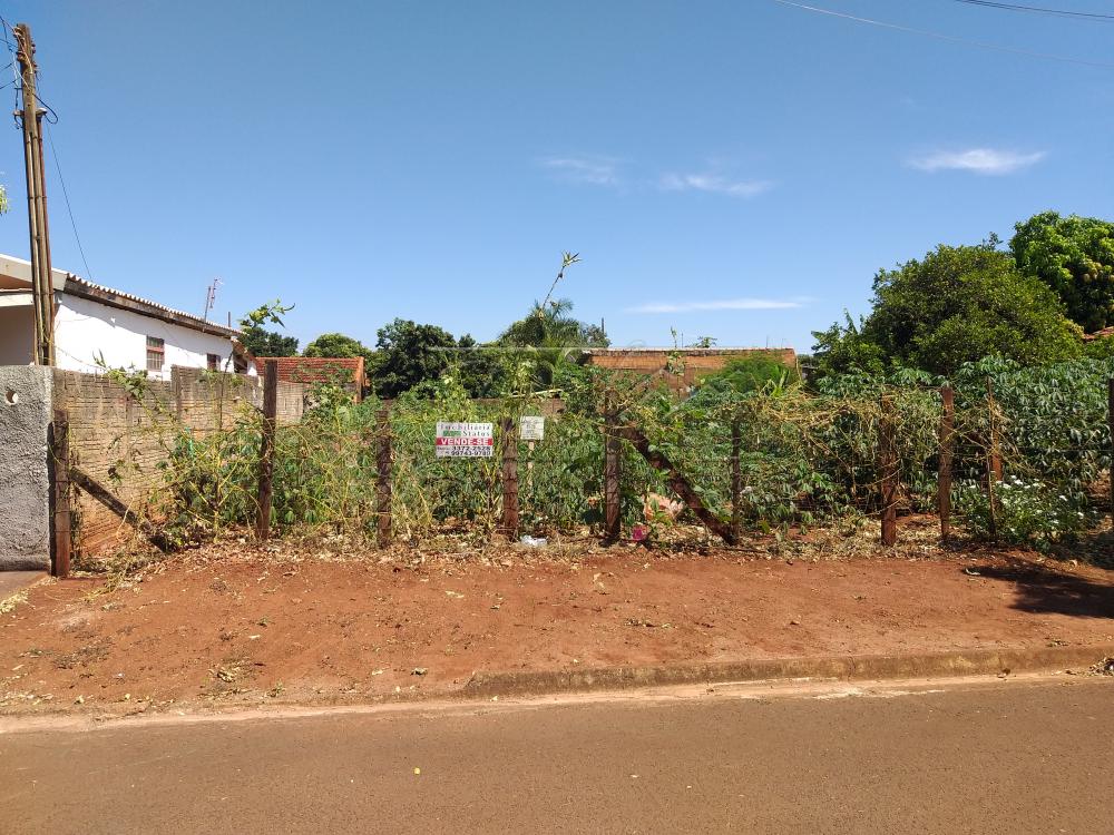 Comprar Terrenos / Lote em Santa Cruz do Rio Pardo R$ 50.000,00 - Foto 1