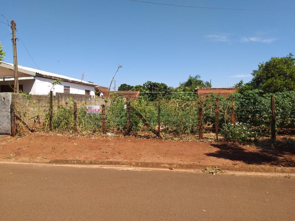 Comprar Terrenos / Lote em Santa Cruz do Rio Pardo R$ 50.000,00 - Foto 2