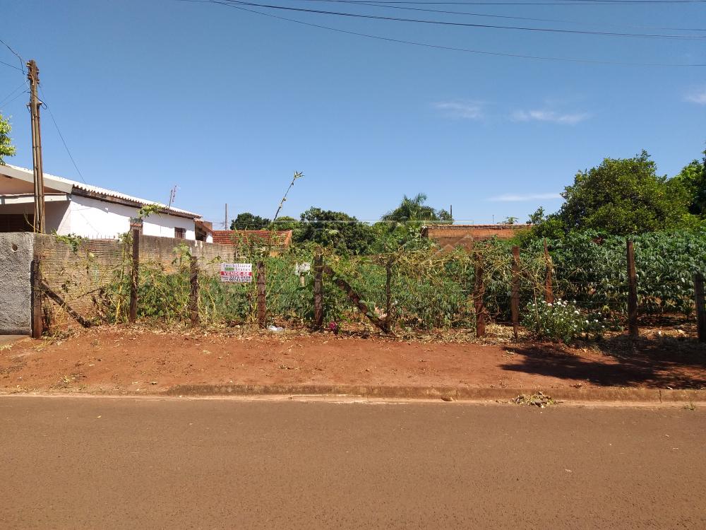 Comprar Terrenos / Lote em Santa Cruz do Rio Pardo R$ 50.000,00 - Foto 3