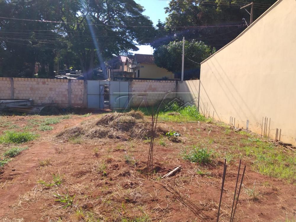 Comprar Terrenos / Lote em Santa Cruz do Rio Pardo R$ 250.000,00 - Foto 4