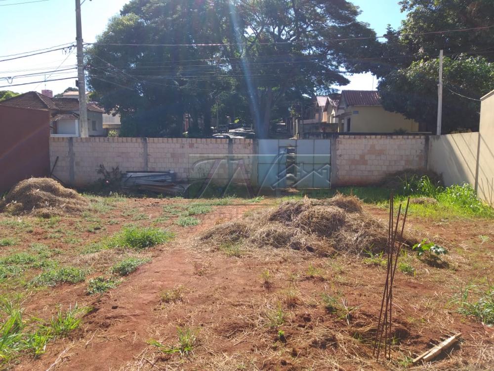 Comprar Terrenos / Lote em Santa Cruz do Rio Pardo R$ 250.000,00 - Foto 6