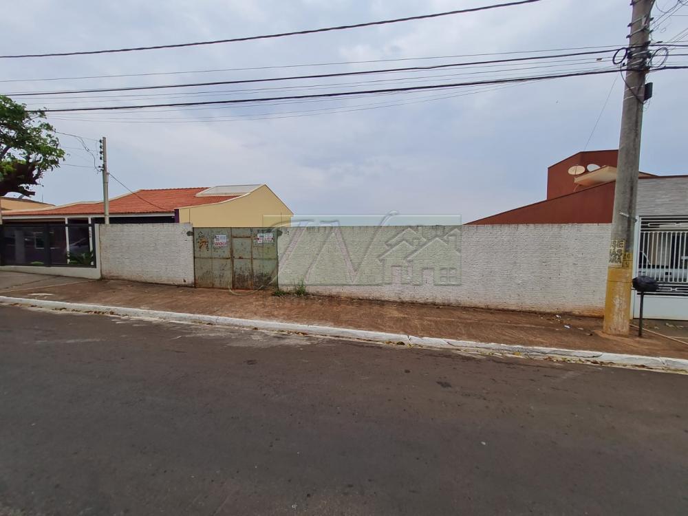 Comprar Terrenos / Lote em Santa Cruz do Rio Pardo R$ 250.000,00 - Foto 3