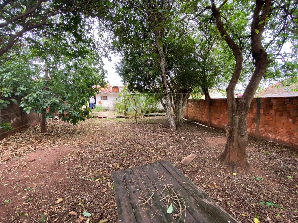 Comprar Residenciais / Casas em Santa Cruz do Rio Pardo - Foto 19