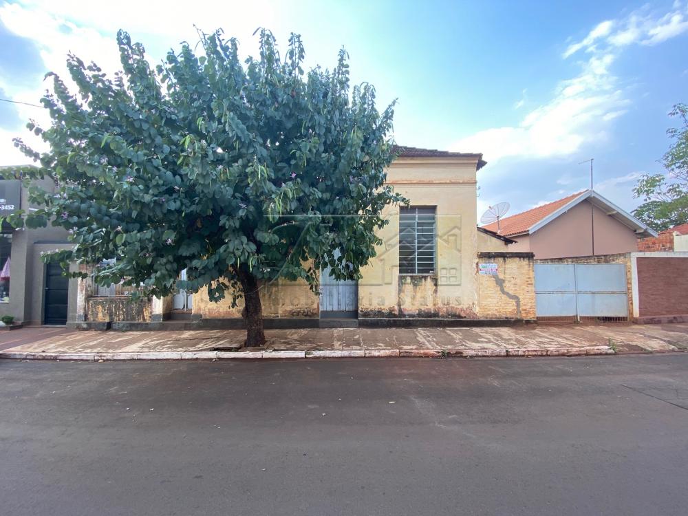 Comprar Residenciais / Casas em Ipaussu R$ 600.000,00 - Foto 1