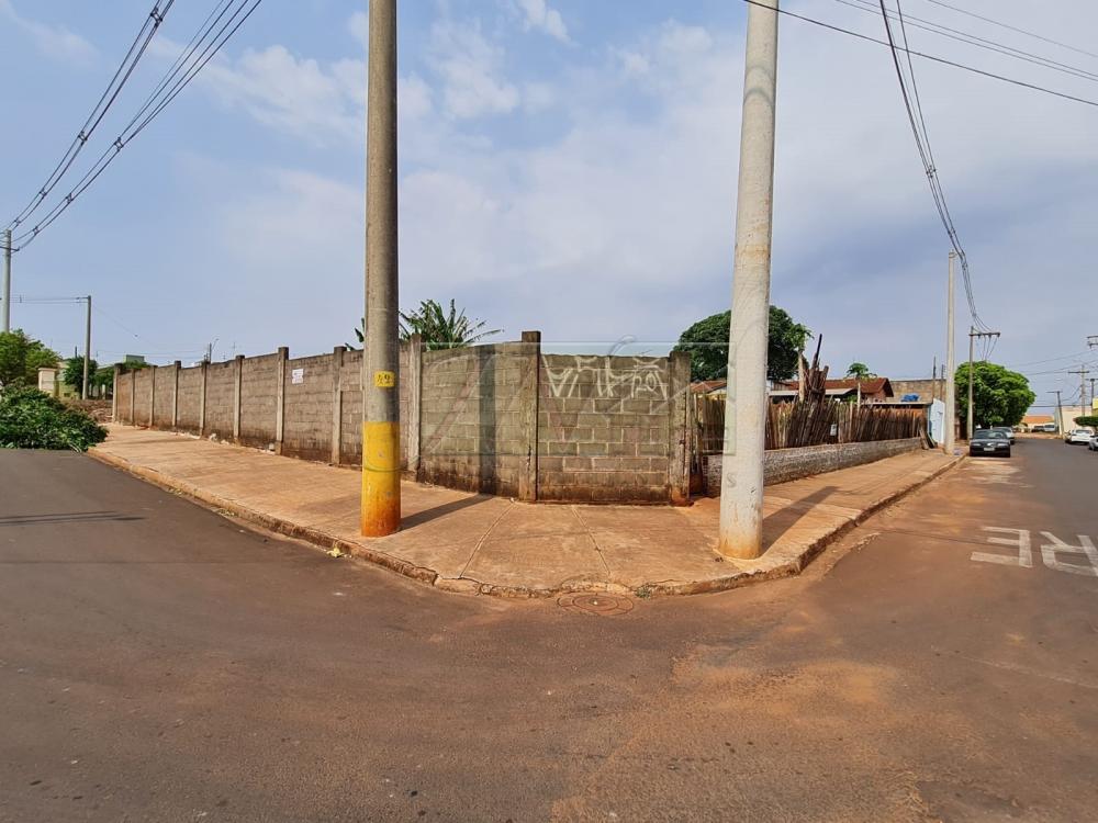 Comprar Terrenos / Lote em Santa Cruz do Rio Pardo R$ 850.000,00 - Foto 1