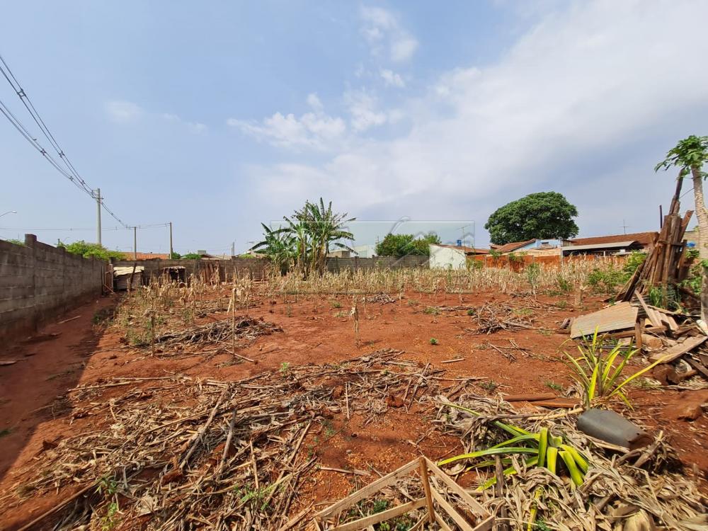 Comprar Terrenos / Lote em Santa Cruz do Rio Pardo R$ 700.000,00 - Foto 5