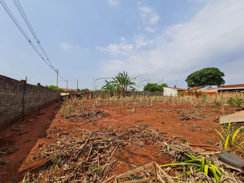 Comprar Terrenos / Lote em Santa Cruz do Rio Pardo R$ 700.000,00 - Foto 3