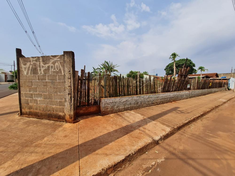 Comprar Terrenos / Lote em Santa Cruz do Rio Pardo R$ 700.000,00 - Foto 7