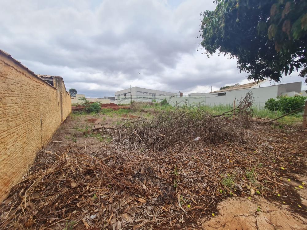 Comprar Terrenos / Lote em Santa Cruz do Rio Pardo R$ 280.000,00 - Foto 1