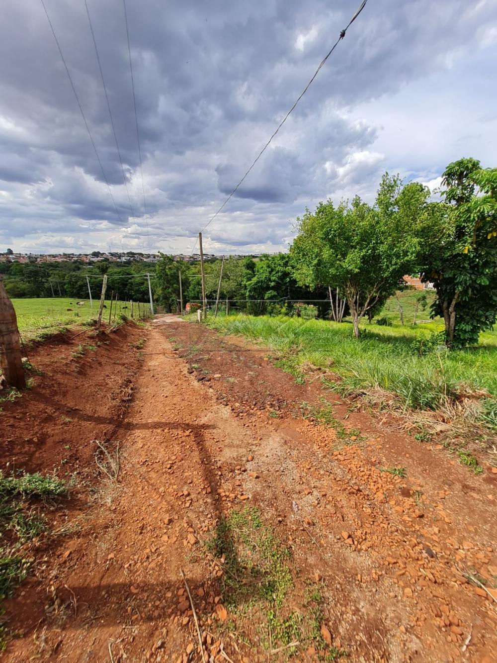 Comprar Terrenos / Lote em Santa Cruz do Rio Pardo R$ 280.000,00 - Foto 1