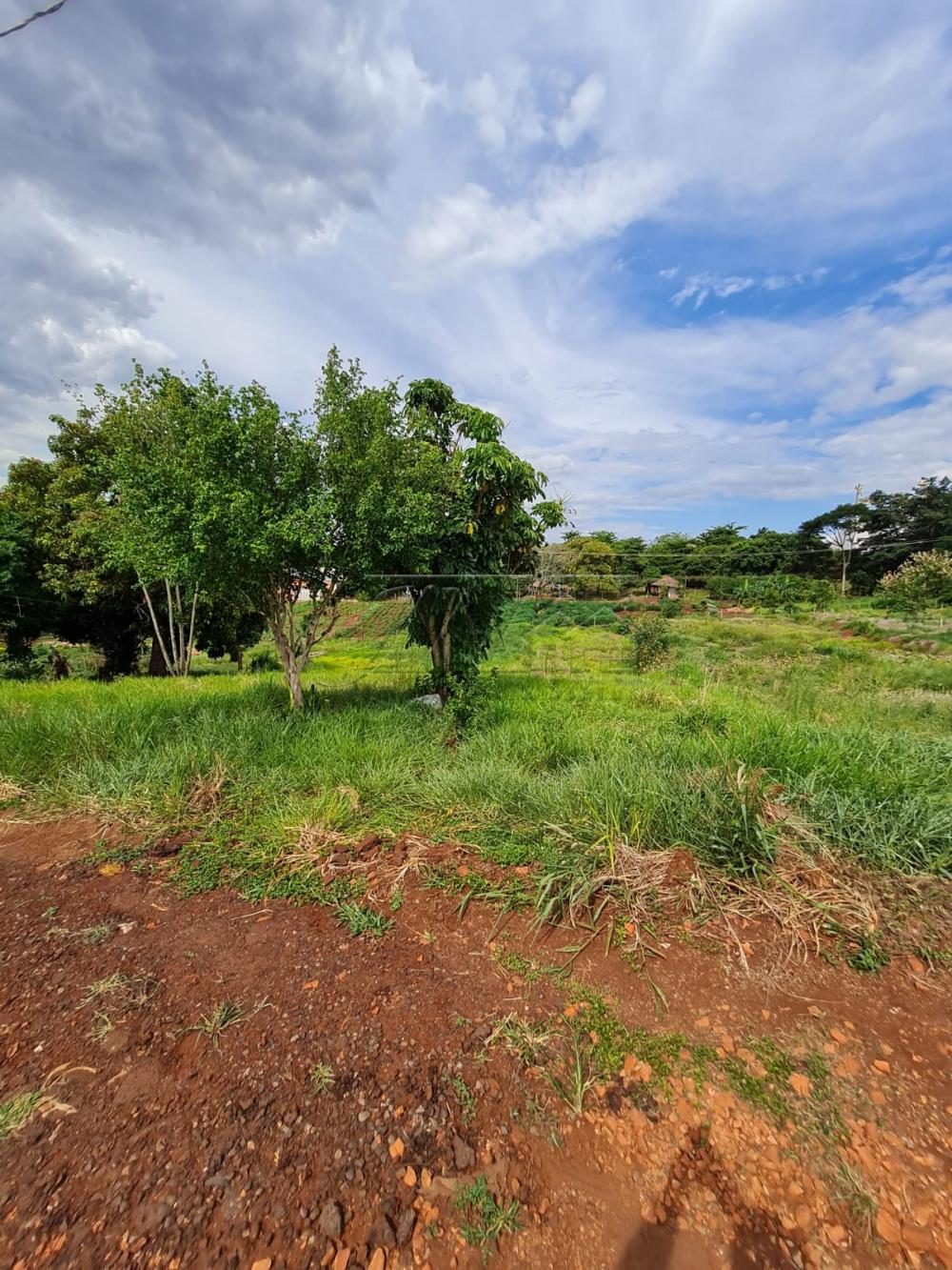 Comprar Terrenos / Lote em Santa Cruz do Rio Pardo R$ 280.000,00 - Foto 2