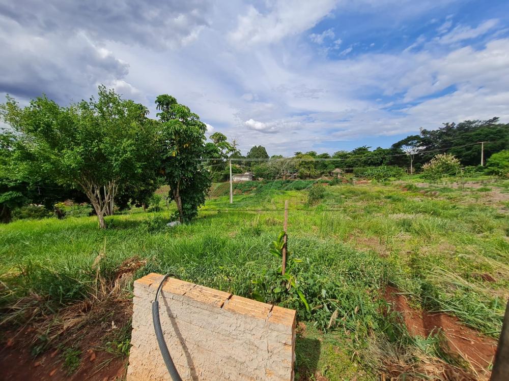 Comprar Terrenos / Lote em Santa Cruz do Rio Pardo R$ 280.000,00 - Foto 3