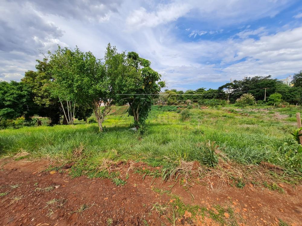 Comprar Terrenos / Lote em Santa Cruz do Rio Pardo R$ 280.000,00 - Foto 4