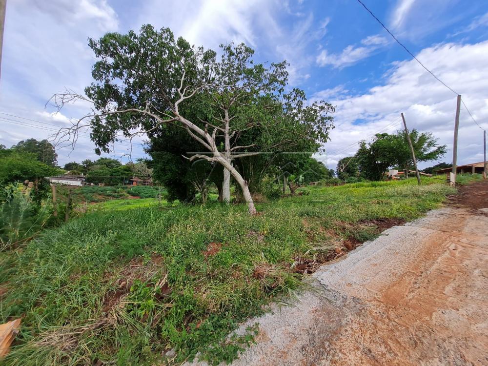 Comprar Terrenos / Lote em Santa Cruz do Rio Pardo R$ 280.000,00 - Foto 6