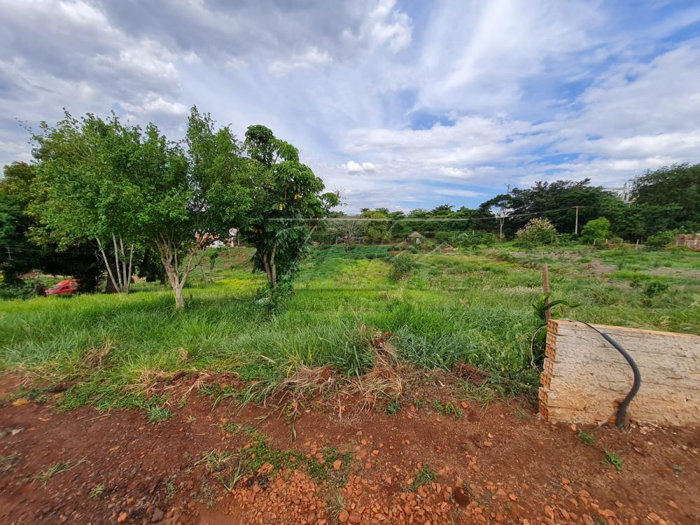 Comprar Terrenos / Lote em Santa Cruz do Rio Pardo R$ 280.000,00 - Foto 7