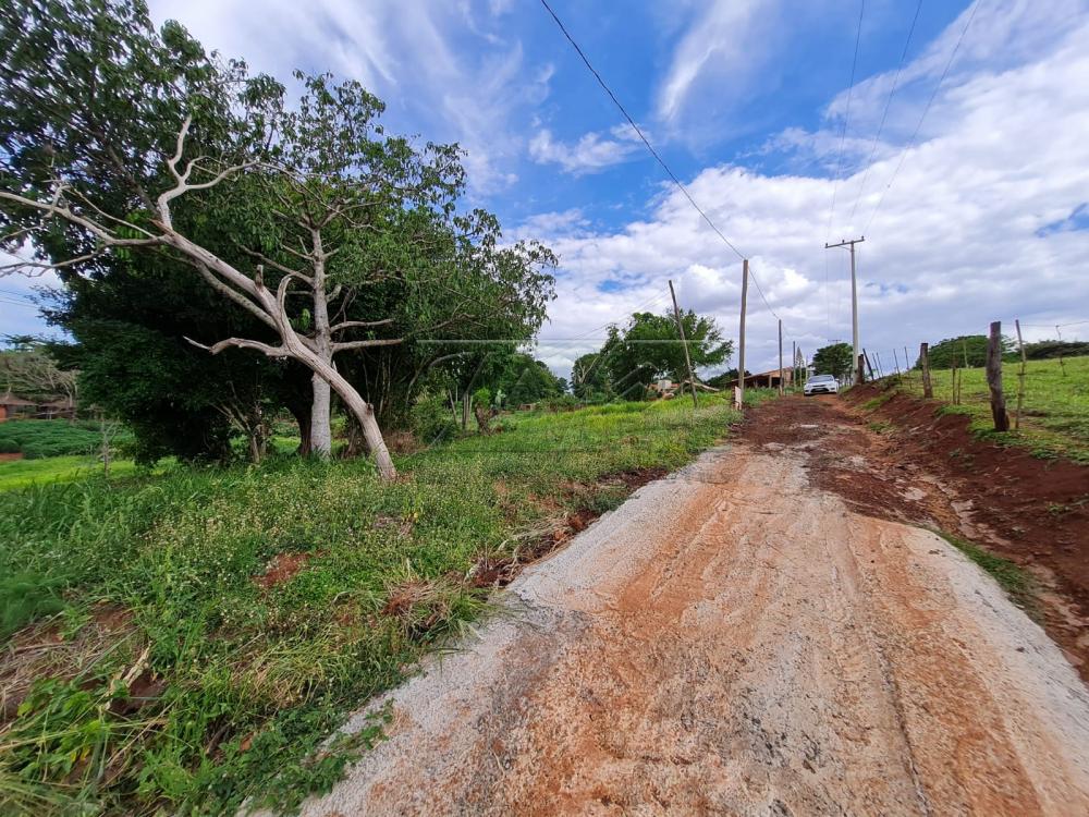 Comprar Terrenos / Lote em Santa Cruz do Rio Pardo R$ 280.000,00 - Foto 9