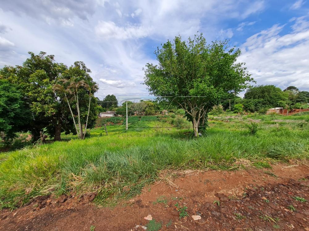 Comprar Terrenos / Lote em Santa Cruz do Rio Pardo R$ 280.000,00 - Foto 11