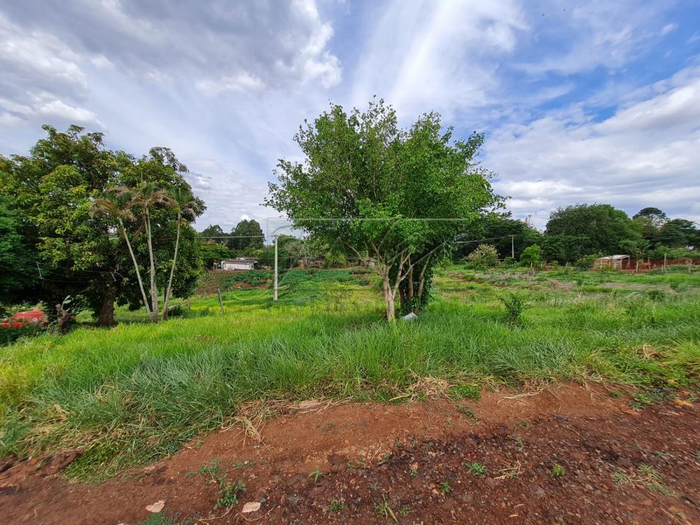 Comprar Terrenos / Lote em Santa Cruz do Rio Pardo R$ 280.000,00 - Foto 15