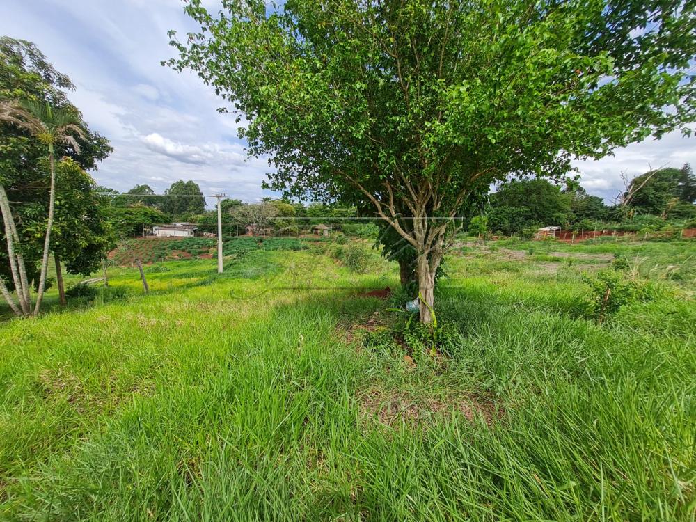 Comprar Terrenos / Lote em Santa Cruz do Rio Pardo R$ 280.000,00 - Foto 17