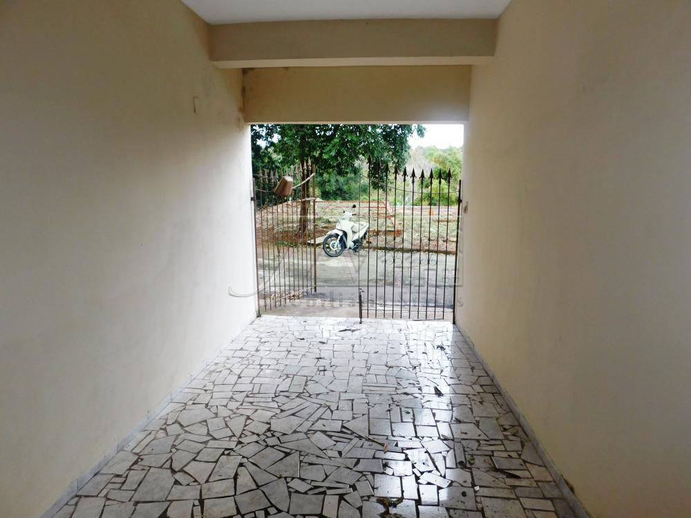 Alugar Residenciais / Casas em Santa Cruz do Rio Pardo R$ 1.100,00 - Foto 5
