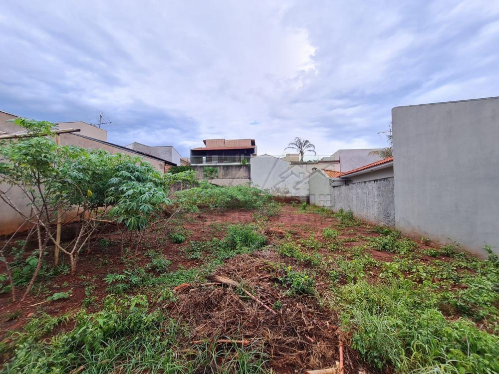 Comprar Terrenos / Lote em Santa Cruz do Rio Pardo R$ 155.000,00 - Foto 4