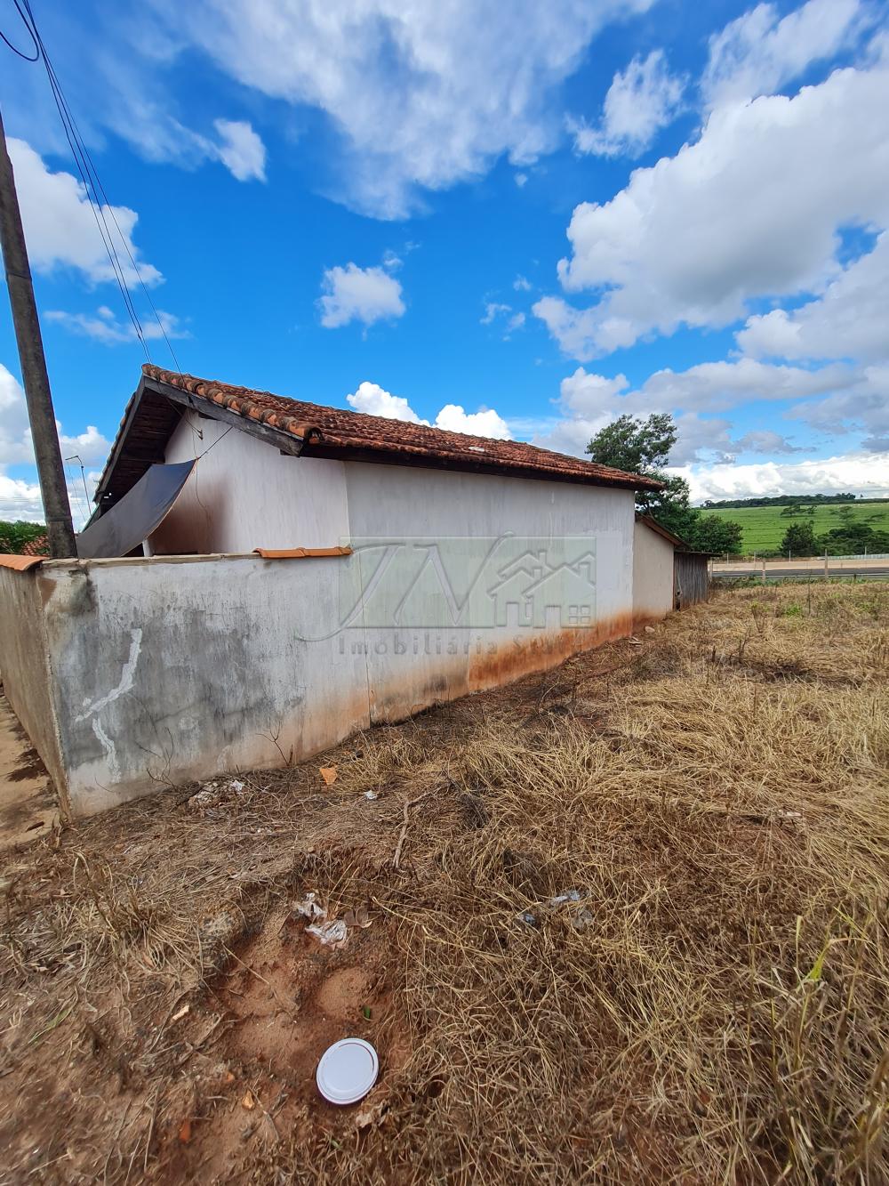 Comprar Terrenos / Lote em Espírito Santo do Turvo R$ 80.000,00 - Foto 3