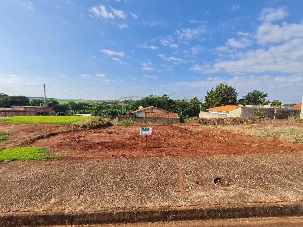 Comprar Terrenos / Lote em Santa Cruz do Rio Pardo R$ 160.000,00 - Foto 1