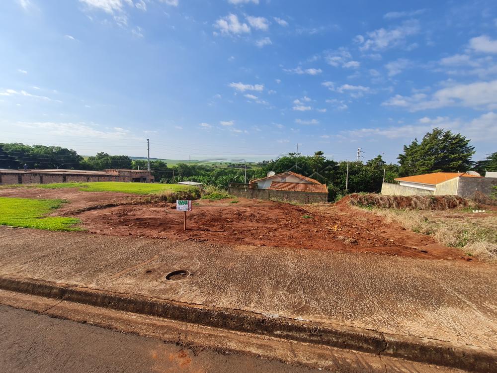 Comprar Terrenos / Lote em Santa Cruz do Rio Pardo R$ 160.000,00 - Foto 2