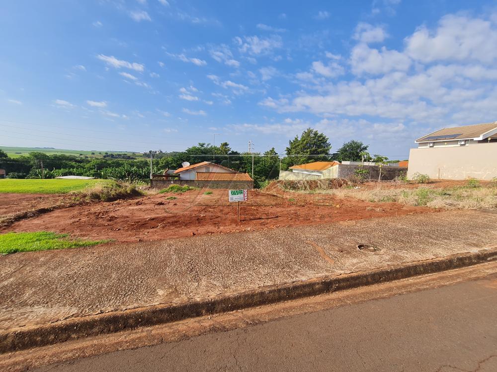 Comprar Terrenos / Lote em Santa Cruz do Rio Pardo R$ 160.000,00 - Foto 3