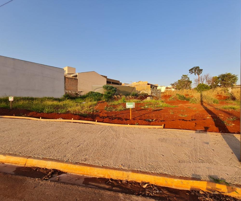 Comprar Terrenos / Lote em Santa Cruz do Rio Pardo R$ 330.000,00 - Foto 3