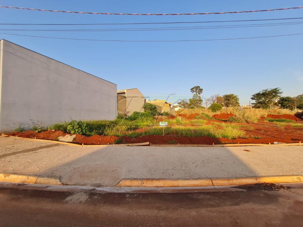 Comprar Terrenos / Lote em Santa Cruz do Rio Pardo R$ 360.000,00 - Foto 1