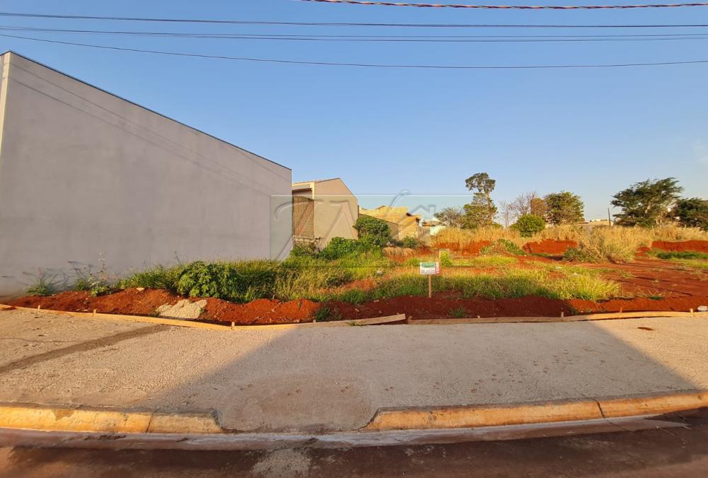 Comprar Terrenos / Lote em Santa Cruz do Rio Pardo R$ 360.000,00 - Foto 4