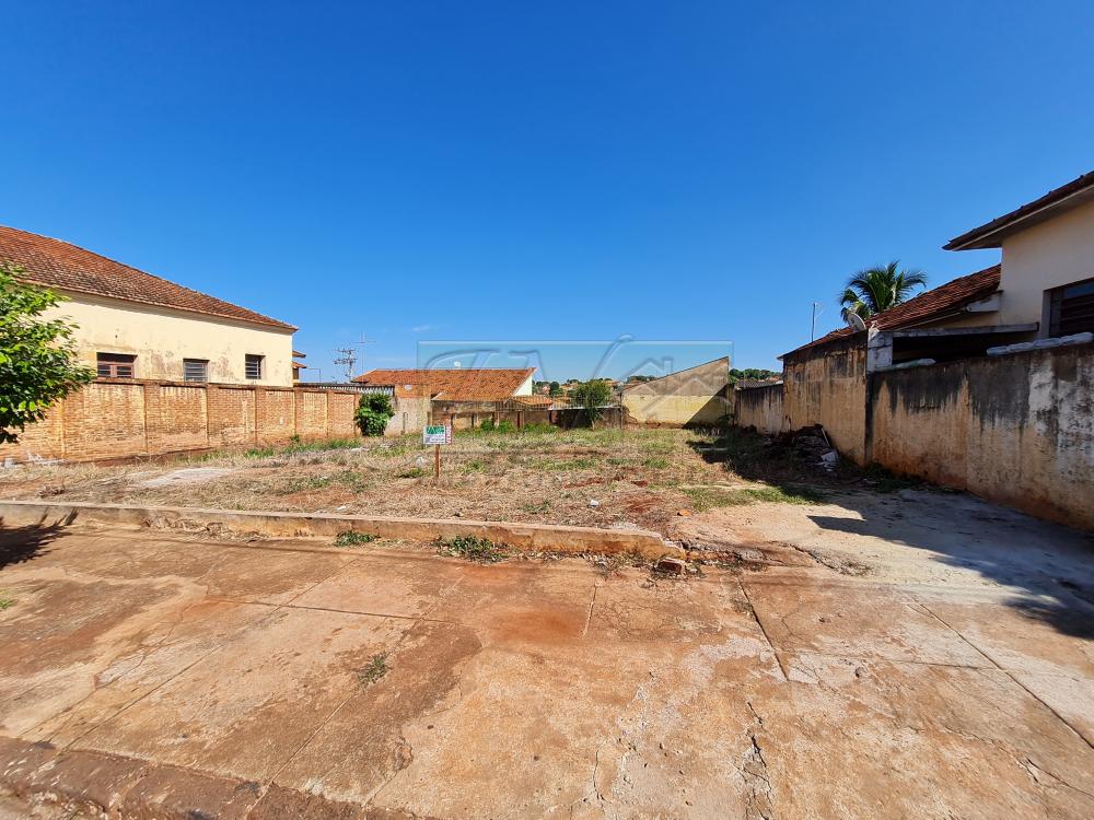 Alugar Terrenos / Lote em Santa Cruz do Rio Pardo R$ 1.800,00 - Foto 1